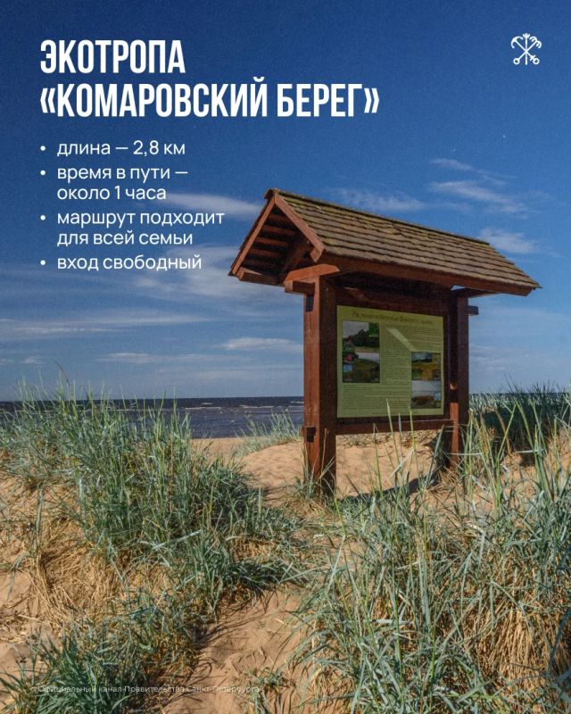 В Петербурге оборудовано 7 экологических троп, которые проходят по особо охраняемым природным территориям В Петербурге оборудовано 7 экологических троп, которые проходят по особо охраняемым природным территориям
