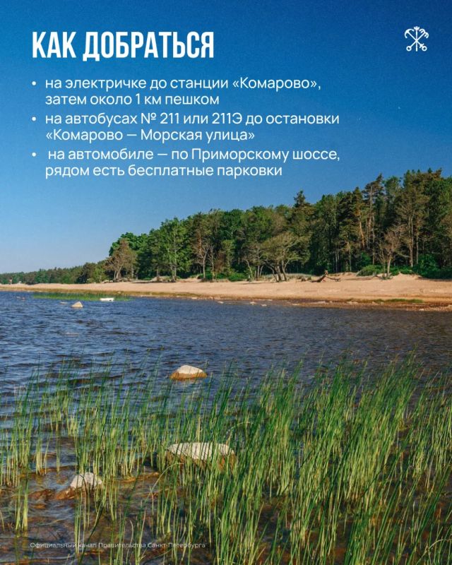 В Петербурге оборудовано 7 экологических троп, которые проходят по особо охраняемым природным территориям В Петербурге оборудовано 7 экологических троп, которые проходят по особо охраняемым природным территориям