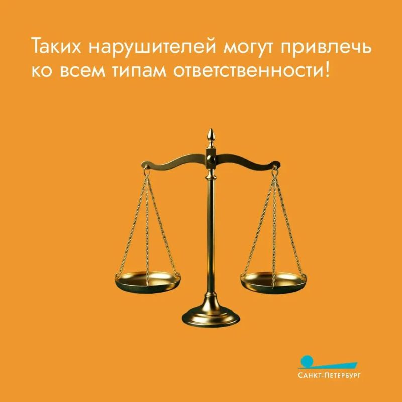Что делать, если начальство нарушает ваши трудовые права? И как могут выглядеть эти нарушения? К кому обращаться за помощью? Ответы на все эти вопросы – в наших карточках Что делать, если начальство нарушает ваши трудовые права? И как могут выглядеть эти нарушения? К кому обращаться за помощью? Ответы на все эти вопросы – в наших карточках