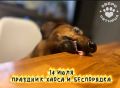 ������� � ��� ����! �������� ����� � ����������