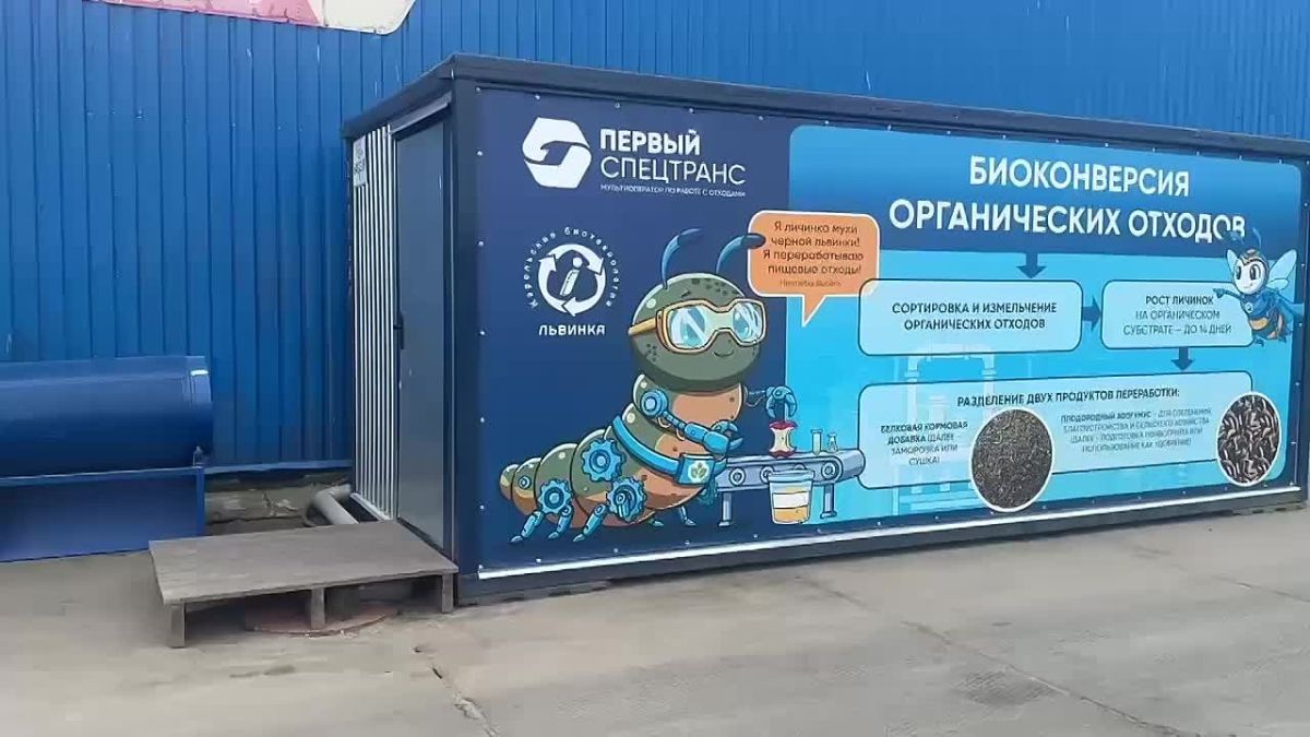 Тестовую линию по переработке пищевых отходов с помощью личинок мух запустили в Петербурге