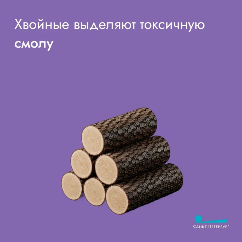 Что всё-таки лучше: уголь или дрова? Что мангал больше любит? Если мы выбираем дрова, то какие породы дерева лучше использовать? Какие точно не стоит, чтобы не заработать отравление? Узнайте в наших карточках Что всё-таки лучше: уголь или дрова? Что мангал больше любит? Если мы выбираем дрова, то какие породы дерева лучше использовать? Какие точно не стоит, чтобы не заработать отравление? Узнайте в наших карточках