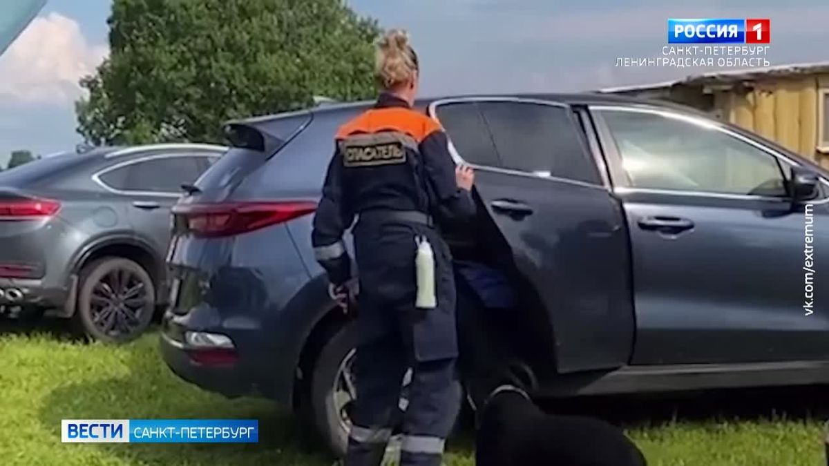 В Ленинградской области спасли пенсионерку, которая провела в лесу 5 дней