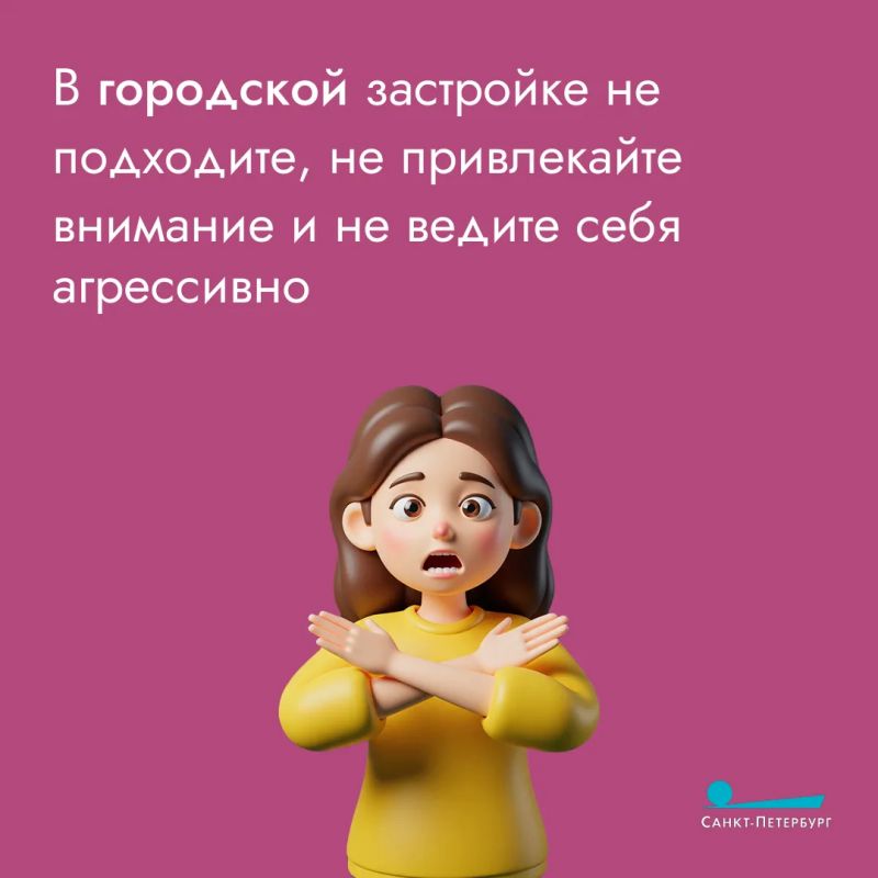 Лоси часто выходят на дороги и в городские районы в поисках пищи, что создает серьезную опасность для водителей и пешеходов Лоси часто выходят на дороги и в городские районы в поисках пищи, что создает серьезную опасность для водителей и пешеходов