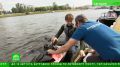 � ������ ���� ��������� ���������� ������ �������� � ��������� �����-���������� ����� 50 ��� � ������������� ����� 300 ���������