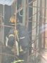Пожарные расчёты замечены у Театра на Садовой