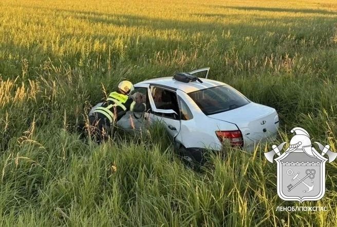«Лады» не поделили дорогу в Тосненском районе Ленобласти