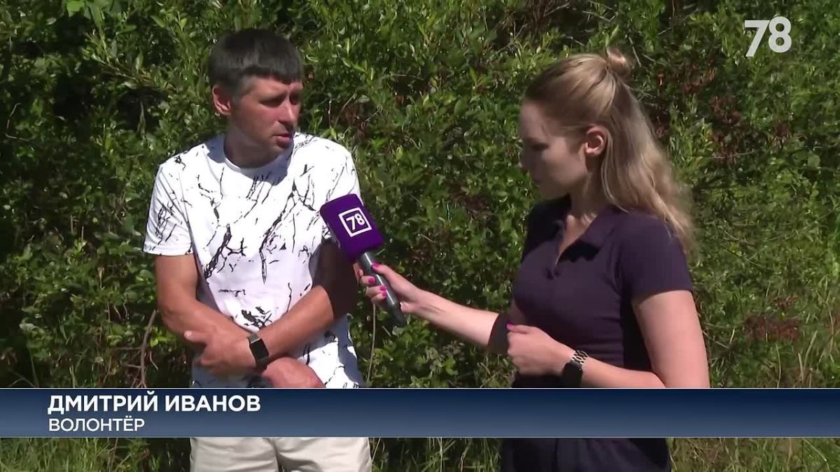 «Сначала подумал, кукла лежит»: волонтёр — о поисках утонувшей в болоте девочки