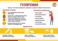 Роспотребнадзор напомнил петербуржцам о важности вакцинации от туляремии