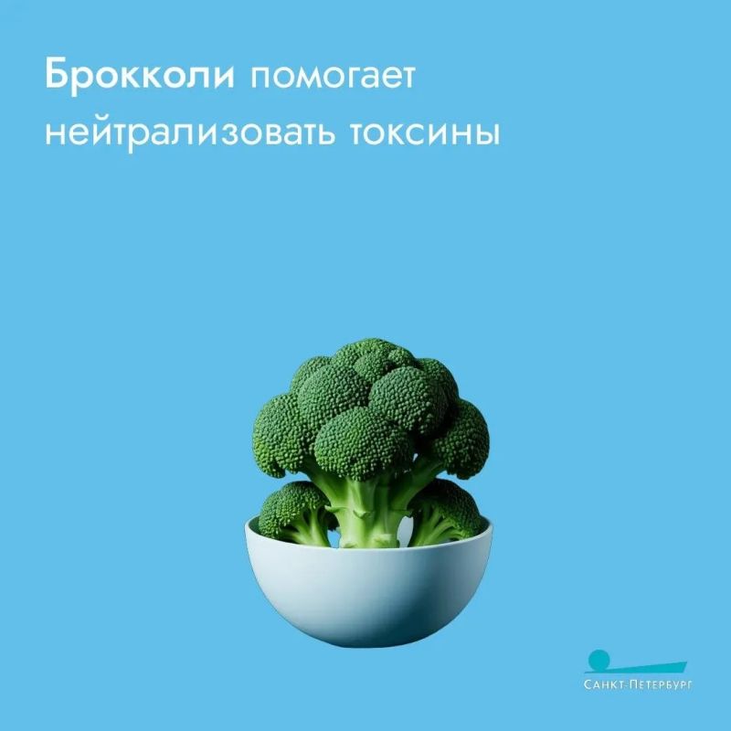 Кто-то любит шашлык с лавашом, кто-то с картошкой Кто-то любит шашлык с лавашом, кто-то с картошкой