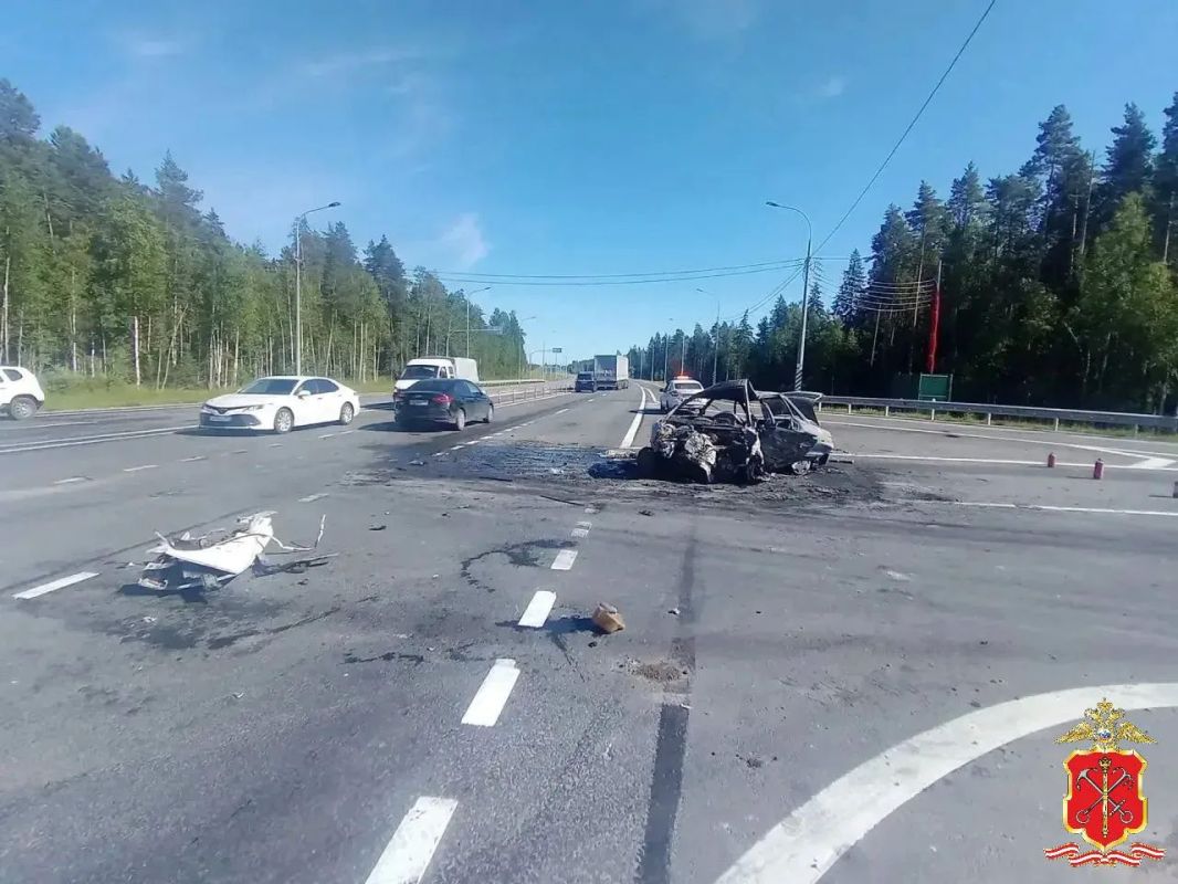 В Лужском районе возбудили уголовное дело после смертельной аварии на трассе Петербург — Псков В Лужском районе возбудили уголовное дело после смертельной аварии на трассе Петербург — Псков