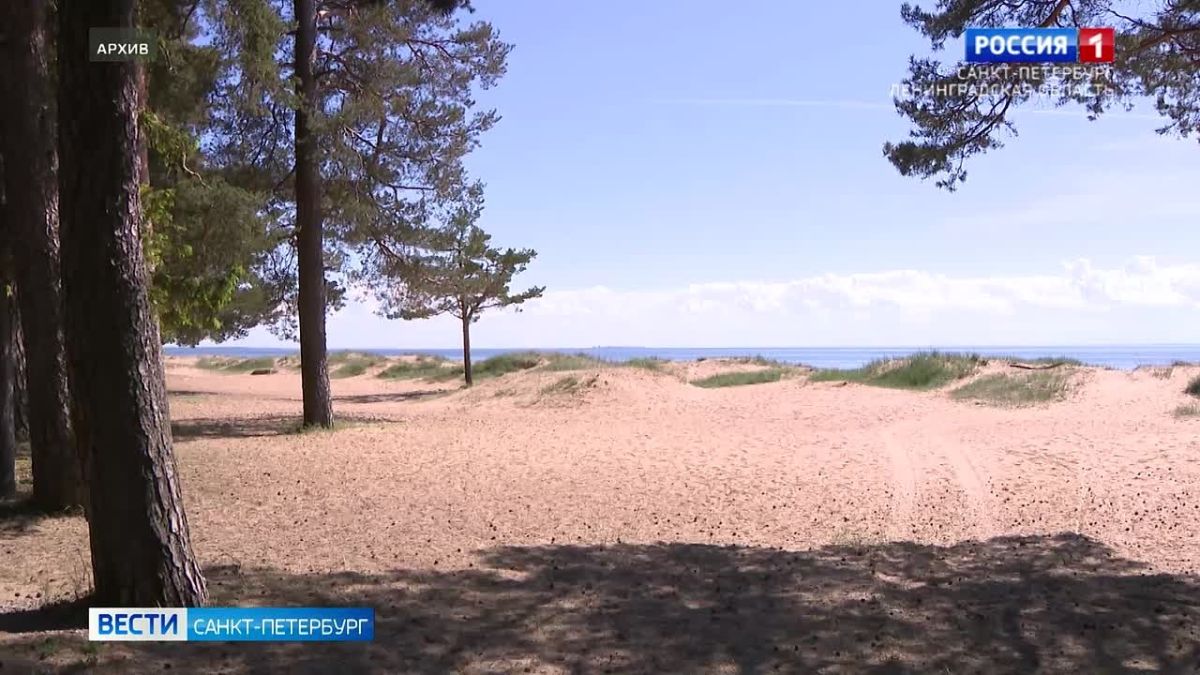18 июля дважды вводили режим беспилотной опасности в Ленинградской области