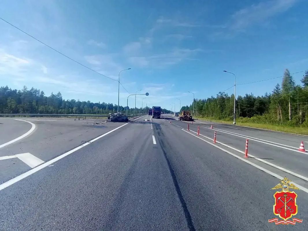 В Лужском районе возбудили уголовное дело после смертельной аварии на трассе Петербург — Псков В Лужском районе возбудили уголовное дело после смертельной аварии на трассе Петербург — Псков