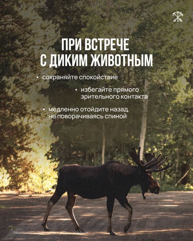 Летом экотропы становятся одним из самых популярных мест для прогулок Летом экотропы становятся одним из самых популярных мест для прогулок