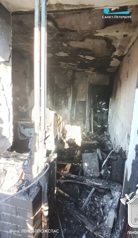 Квартирный пожар в Мурино заставил эвакуировать из жилого дома 50 человек Квартирный пожар в Мурино заставил эвакуировать из жилого дома 50 человек