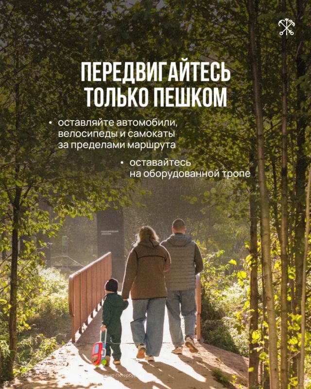 Летом экотропы становятся одним из самых популярных мест для прогулок Летом экотропы становятся одним из самых популярных мест для прогулок