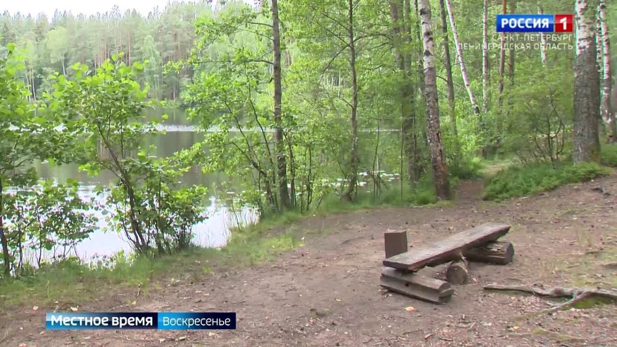 Вокруг Петербурга появится зелёный пояс