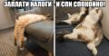 Налоги сами постучатся: Что изменится для граждан с 1 августа?