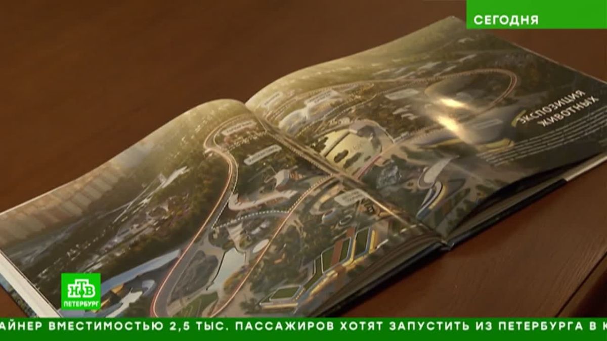 Пять климатических зон и огромный вольер для тропических птиц и растений: проектировщики нового зоопарка в подробностях рассказали, каким он будет