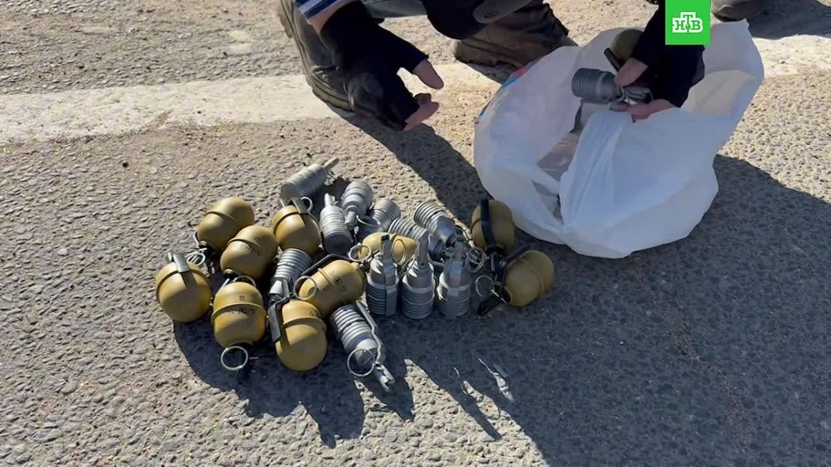 Мешок с гранатами и автомат обнаружили полицейские у водителя во время проверки на дорогах Васильевского острова