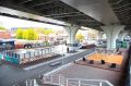 В Петербурге на районных выставках началась неделя благоустройства
