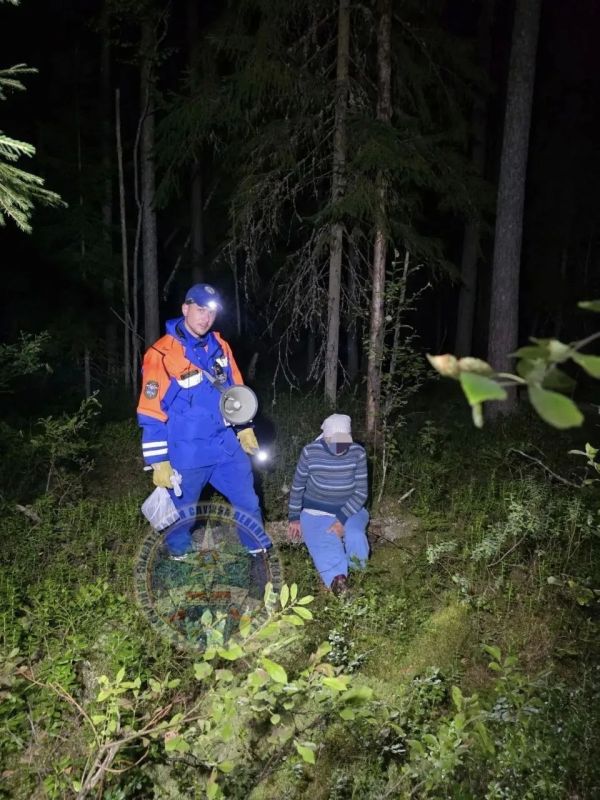 Спасатели нашли пропавшую пенсионерку, потерявшуюся в лесу Ленобласти