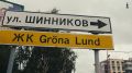 Березы вдоль Дороги жизни попытаются сохранить