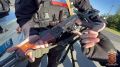 Пьяное вождение, оружие, поддельное удостоверение: полиция провела масштабный рейд на Васильевском острове