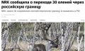 А представьте, если бы случилось наоборот — и это русские северные олени перешли бы границу Норвегии…