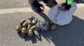 Мешок с гранатами и автомат обнаружили полицейские у водителя во время проверки на дорогах Васильевского острова