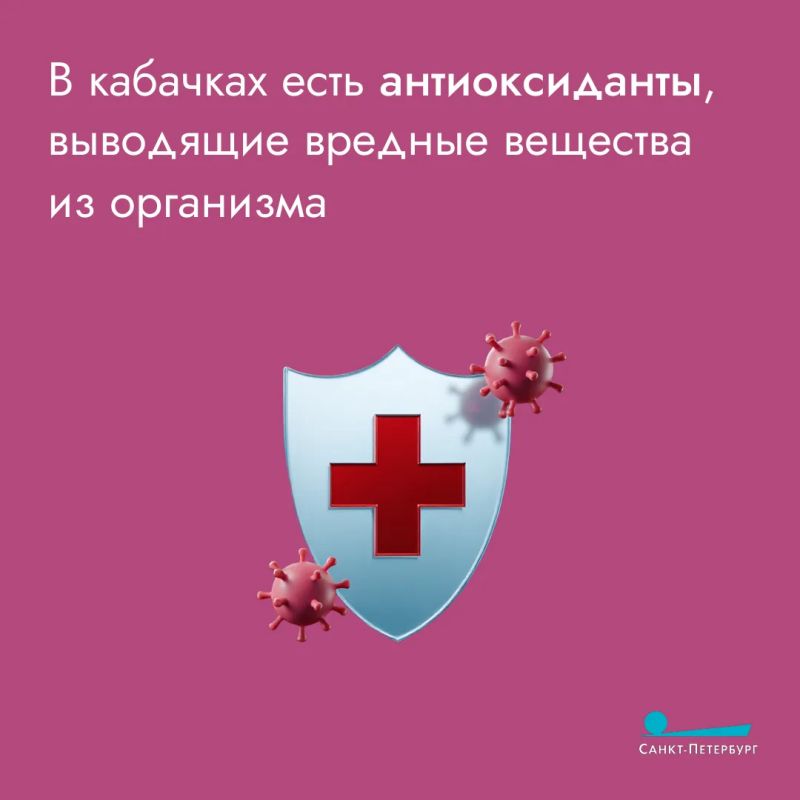 И вновь поговорим о кабачках И вновь поговорим о кабачках