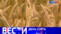 Вести Санкт-Петербург. Выпуск 21.10 от 22.07.2026