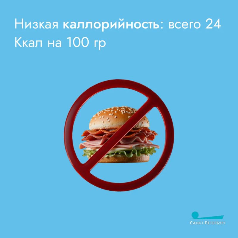 И вновь поговорим о кабачках И вновь поговорим о кабачках
