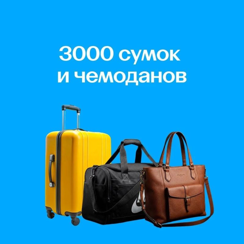 Бензопила, пять кубков, черепашка