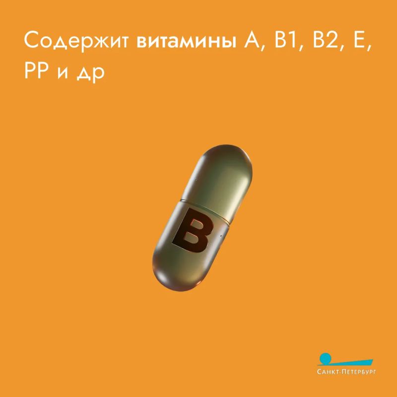 И вновь поговорим о кабачках И вновь поговорим о кабачках