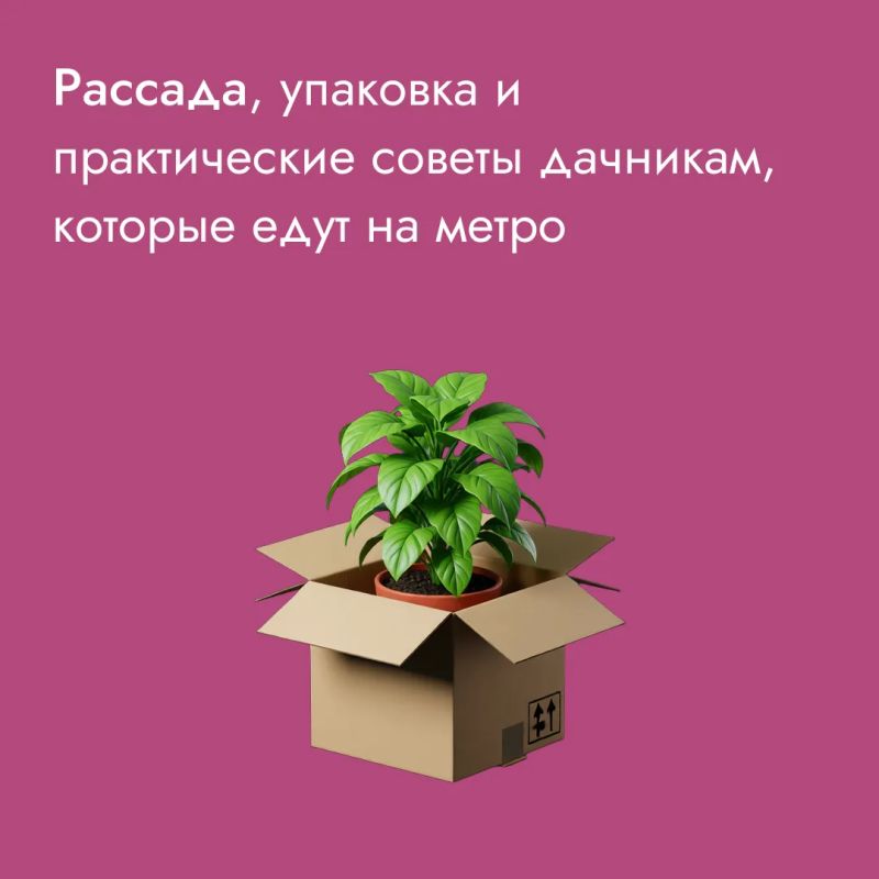 Решили поехать на дачу на метро? О том, как перевозить в подземке инвентарь, мы рассказывали ранее