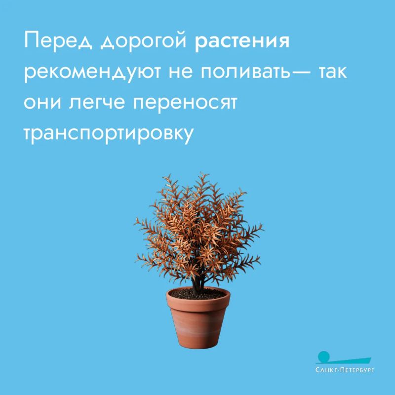 Решили поехать на дачу на метро? О том, как перевозить в подземке инвентарь, мы рассказывали ранее Решили поехать на дачу на метро? О том, как перевозить в подземке инвентарь, мы рассказывали ранее