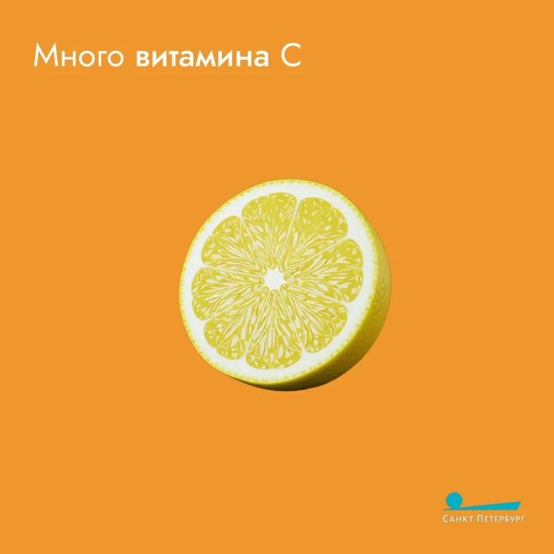 И вновь поговорим о кабачках И вновь поговорим о кабачках