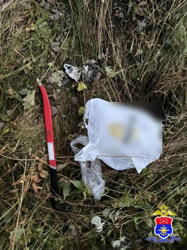 Транспортные полицейские задержали 14-летнего подростка, который пытался поджечь релейный и батарейный шкафы на железнодорожной станции Шувалово-Парголово в Петербурге Транспортные полицейские задержали 14-летнего подростка, который пытался поджечь релейный и батарейный шкафы на железнодорожной станции Шувалово-Парголово в Петербурге