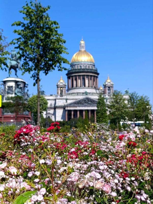 Доброе утро, Петербург! Четверг — это самый лучший день, чтобы подготовится к пятнице