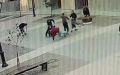 В Гатчине юные вандалы вырвали цветы из вазонов на Соборной улице