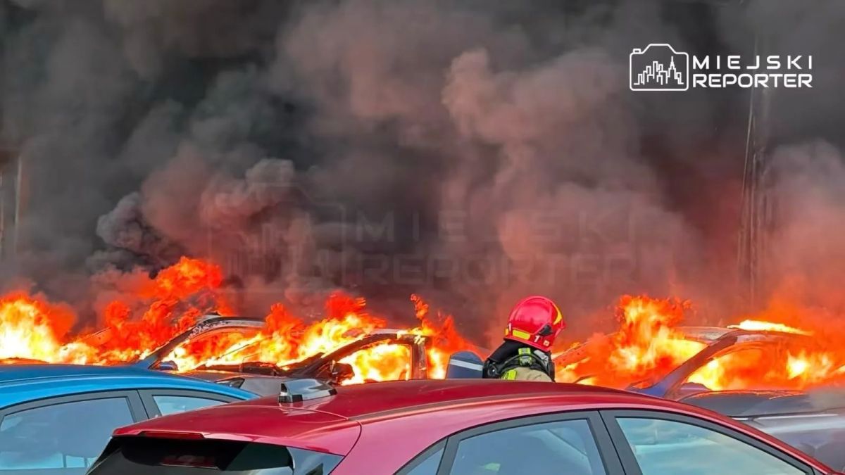 В Варшаве сгорел большой автосалон американской компании Ford В Варшаве сгорел большой автосалон американской компании Ford