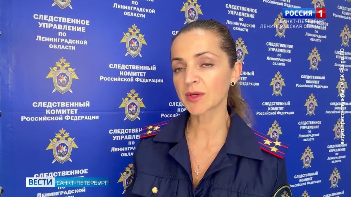 Бультерьер набросился на 3-летнего ребенка в деревне Коккорево