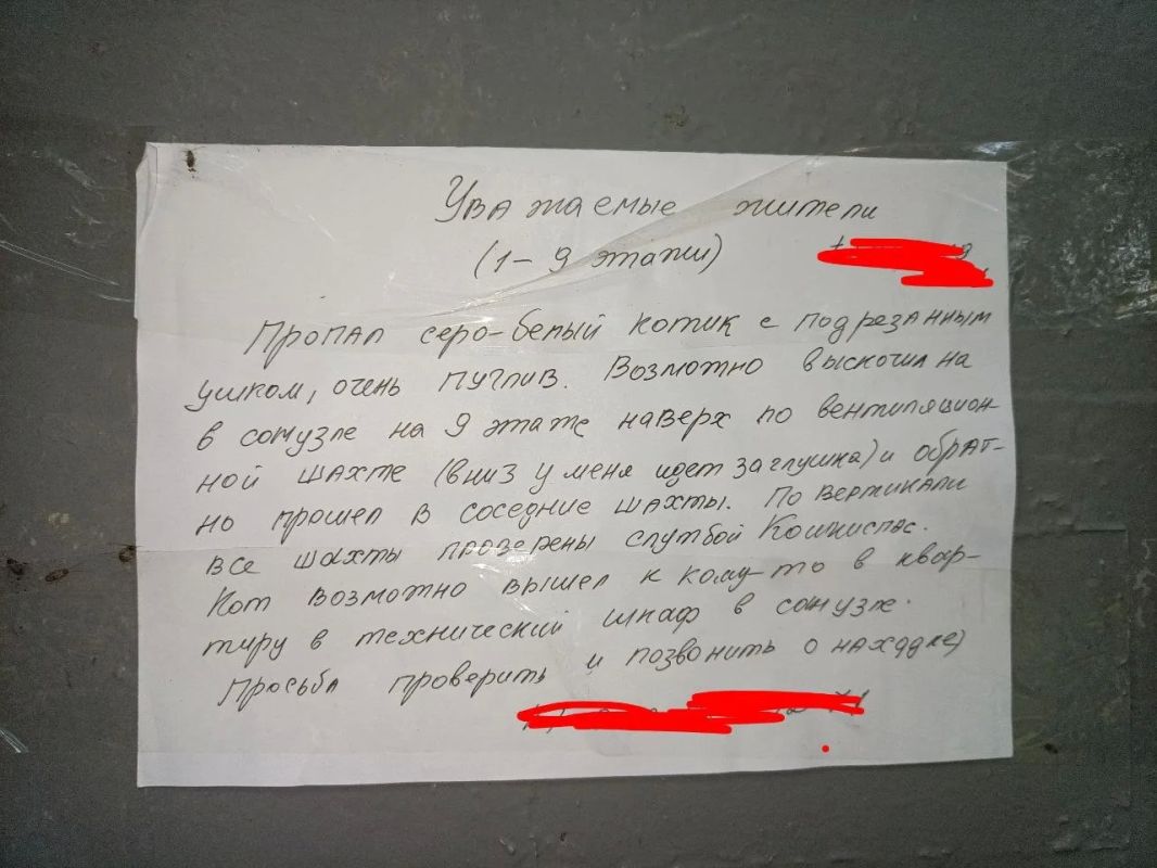 Кот Кузя четыре дня просидел в вентиляции после падения с 9-го этажа
