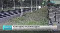 Сюжет канал Санкт-Петербург, программа "Новости"
