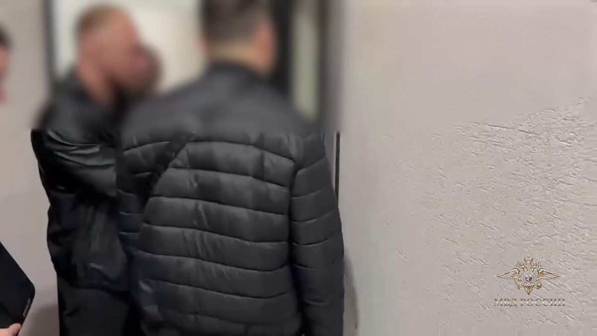 Ирина Волк: Лжеинвесторов, подозреваемых в хищении 25 млн рублей, задержали мои столичные коллеги