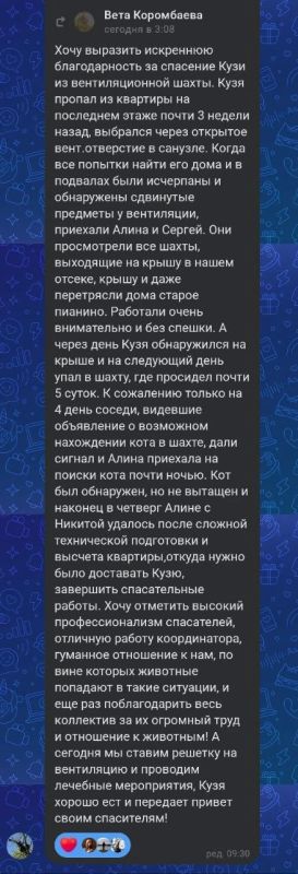 Кот Кузя четыре дня просидел в вентиляции после падения с 9-го этажа Кот Кузя четыре дня просидел в вентиляции после падения с 9-го этажа