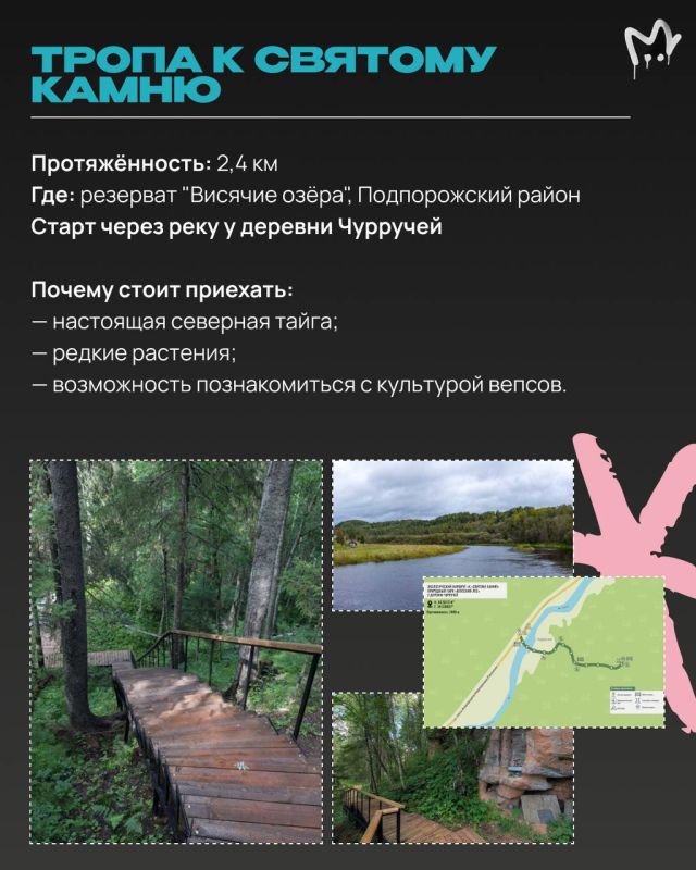 Отыскать каньон или гигантские валуны ледникового периода, прогуляться по лесу или аккуратному болоту — всё это пожалуйста в Ленобласти Отыскать каньон или гигантские валуны ледникового периода, прогуляться по лесу или аккуратному болоту — всё это пожалуйста в Ленобласти