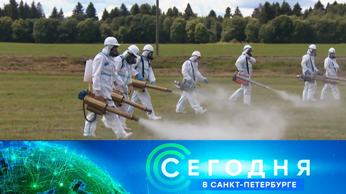 Уголовное дело возбуждено по факту атаки беспилотников на Ленобласть сегодня утром