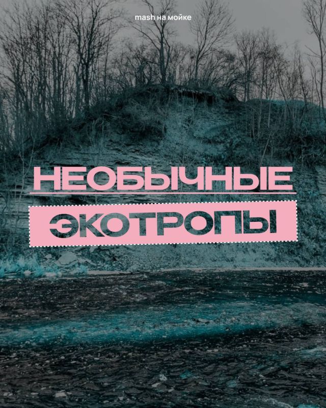 Отыскать каньон или гигантские валуны ледникового периода, прогуляться по лесу или аккуратному болоту — всё это пожалуйста в Ленобласти